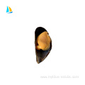 wholesale mussel meat with half shellsupplier